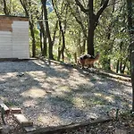 Hébergement de vacances Mas La Bergerie *