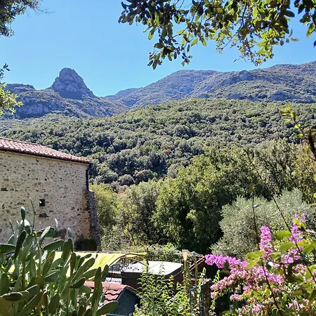 Ferienhaus Mas La Bergerie *