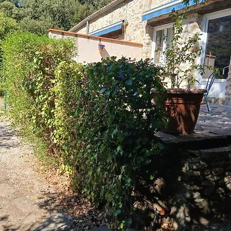 Mas La Bergerie Ferienhaus
