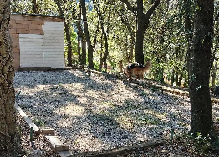 Ferienhaus Mas La Bergerie *